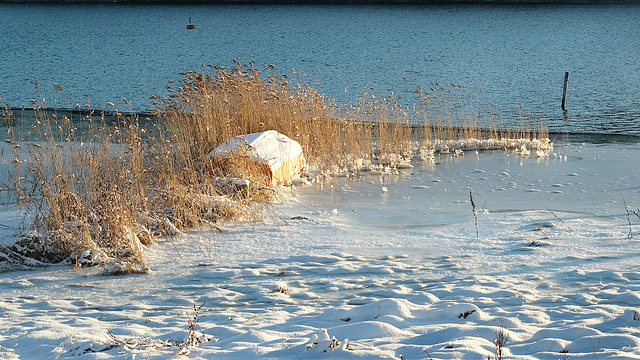 On a strip of soil - Waiting for spring to arrive