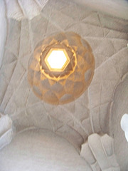 100_0078.JPG