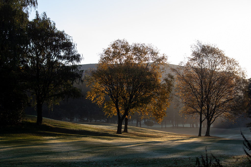 Autumn Morning light