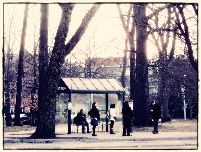 Bus stop