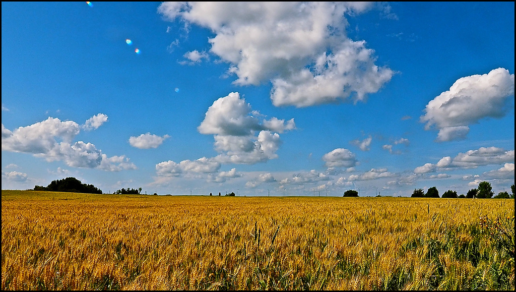 Wetaskiwin, Alberta