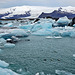 Die Gletscherlagune Jökulsarlon - The Jökulsarlon Glacier Lagoon - mit PiP