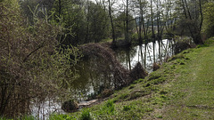 20190410 4704CPw [D~PM] Emsterkanal, Netzener See, Netzen, Kloster Lehnin