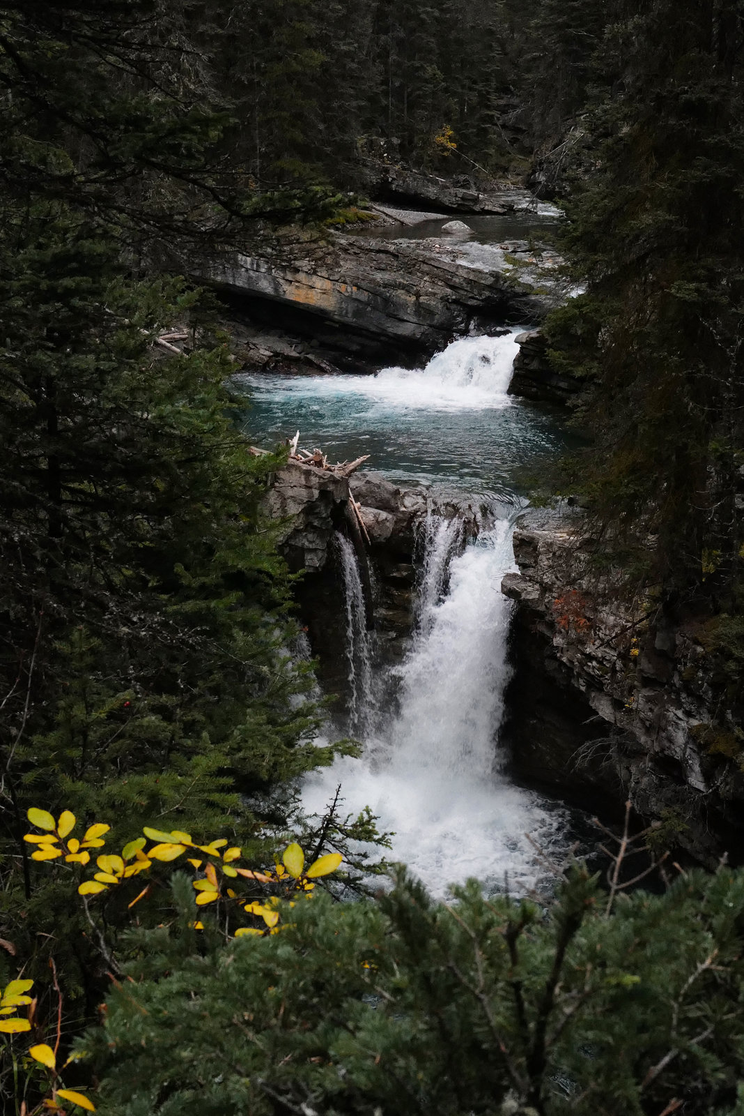 Johnston Canyon L1010557