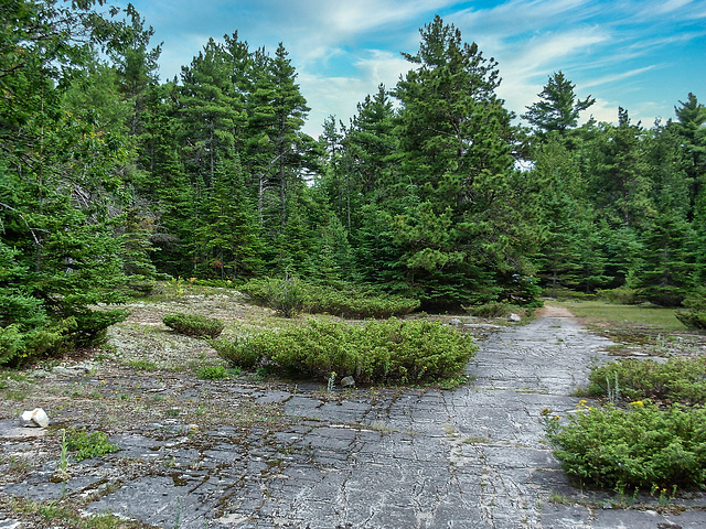 Manitoulin Island, Pavement Limestone, Misery Bay - 2007 (PiP)