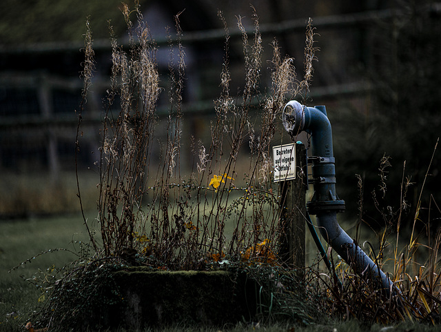 20231118_benneckenstein spaziergang