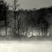 Ambiance d'un beau matin de printemps