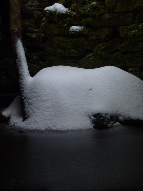 20150131 Raquettes Vercors La Goulandiere (83) al