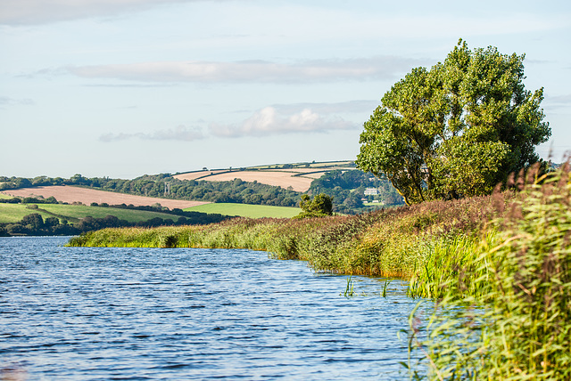 Slapton Leigh -  20150902