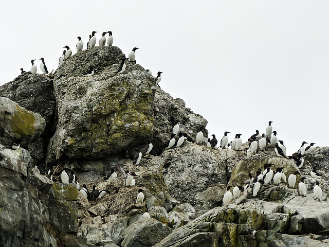 Day 11, Brandy Pot Islands