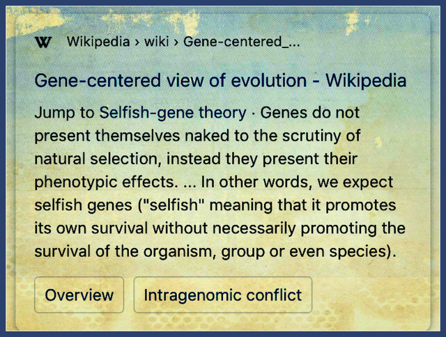 Selfish gene