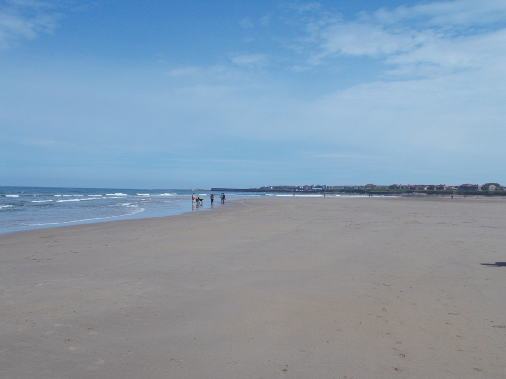 shs - Beach at Seahouses