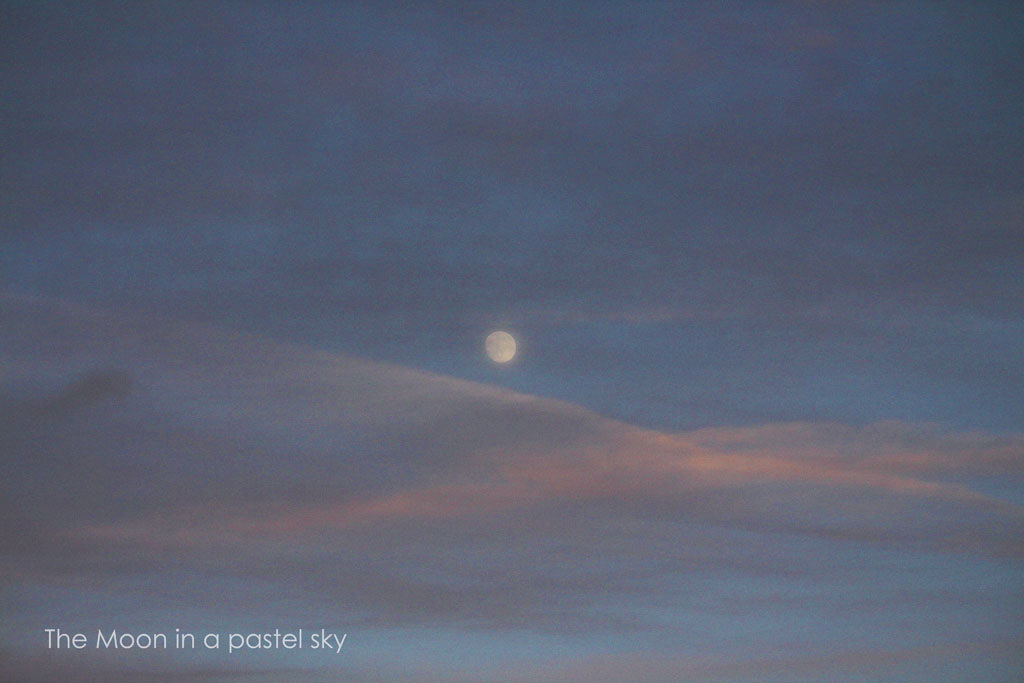 Moon in a pastel sky over Seaford Bay - 31.5.2015