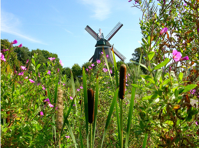 Kirchdorfer Windmühle  Johanna