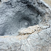 The Namafjall geothermal field, Pots