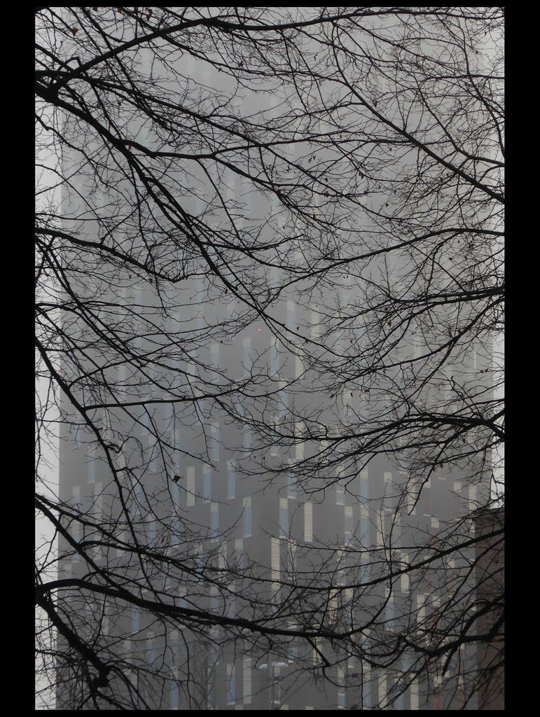 Tower hotel 47/50: Fog
