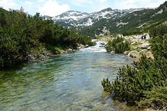 Bulgaria, The Valley of the Banderitsa River in the Pirin Mountains