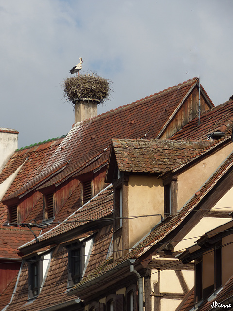 Sélestat Alsace