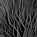 Lamella