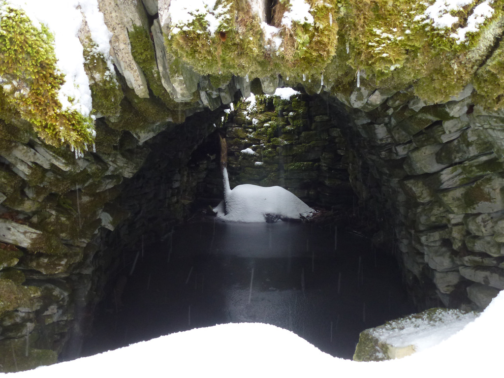 20150131 Raquettes Vercors La Goulandiere (84) al