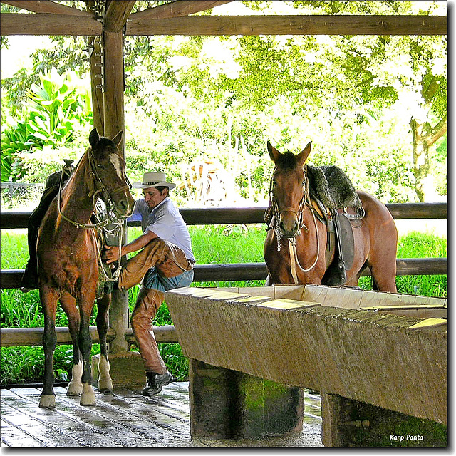 Parque del Café - Montenegro - Colombia