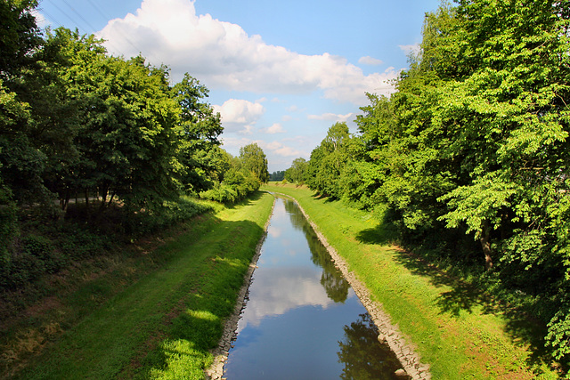 Emscher zwischen Herne und Recklinghausen / 25.05.2019