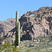 Saguaro And Arches