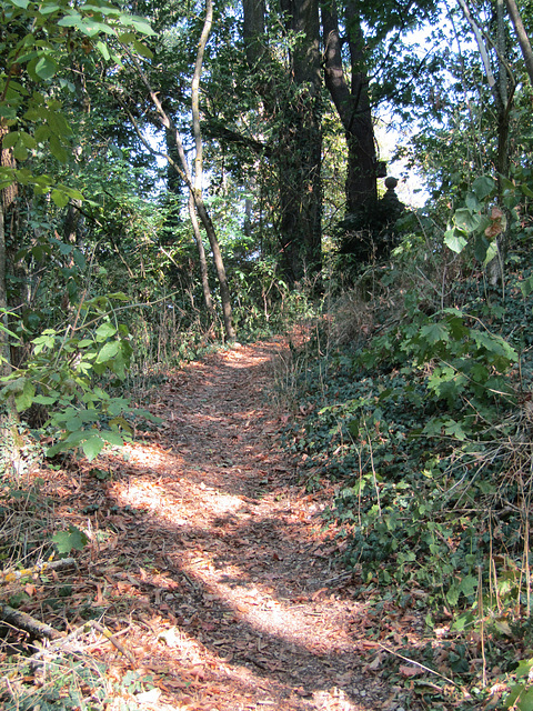 Weg am Schlossberg Regenstauf