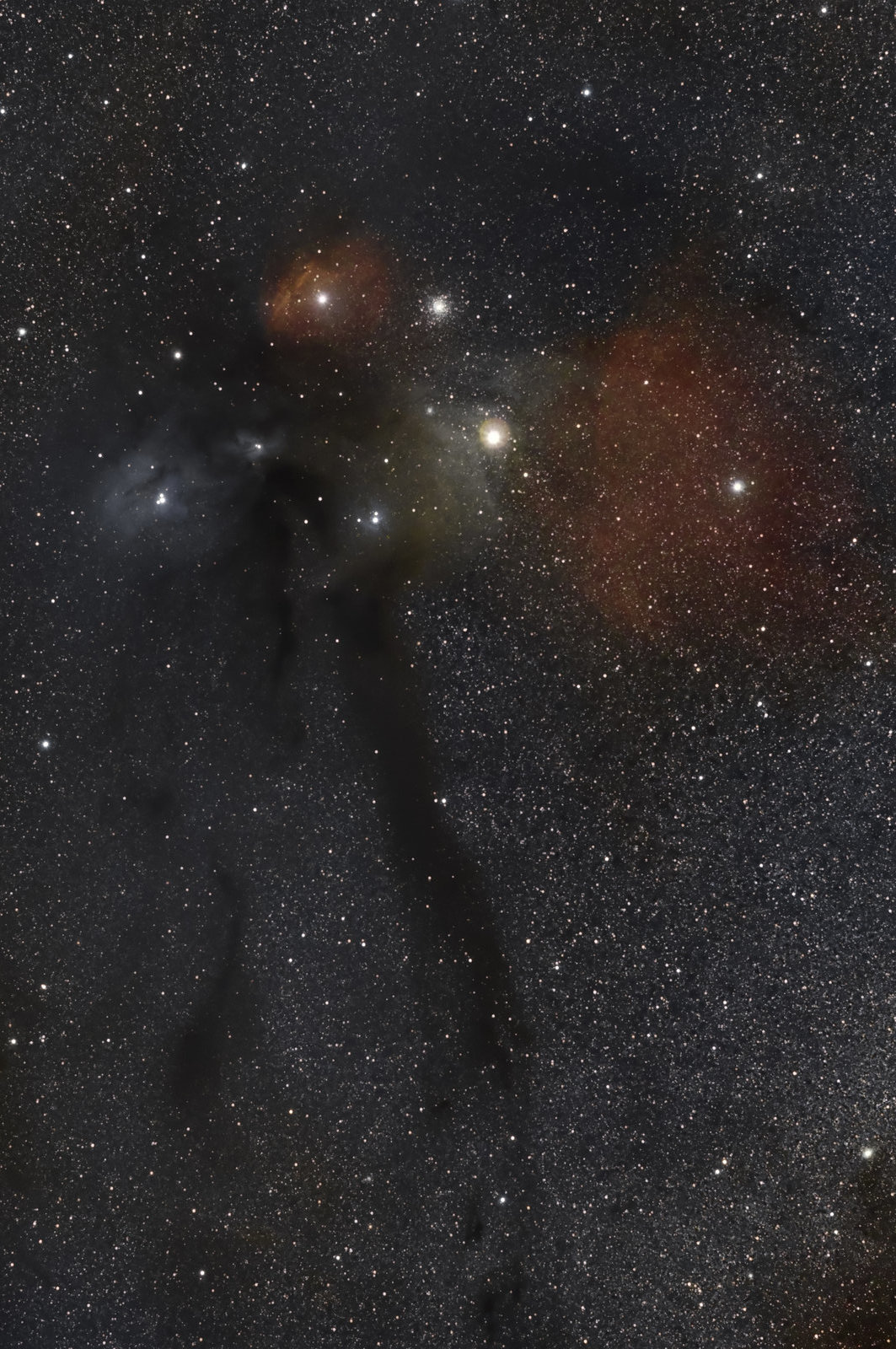 Rho Ophiuchi - Antares region