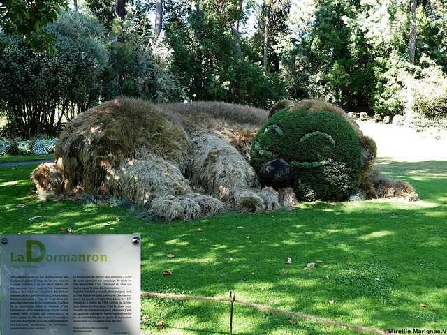 Jardin des Plantes de Nantes (Loire-Atlantique) France