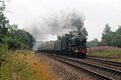 Collett GWR 4073 class Castle 5043 EARL OF MOUNT EDGCUMBE at Seamer West Jct with 1Z63 16.34 Scarborough - Birmingham New Street The White Rose 19th July 2025.