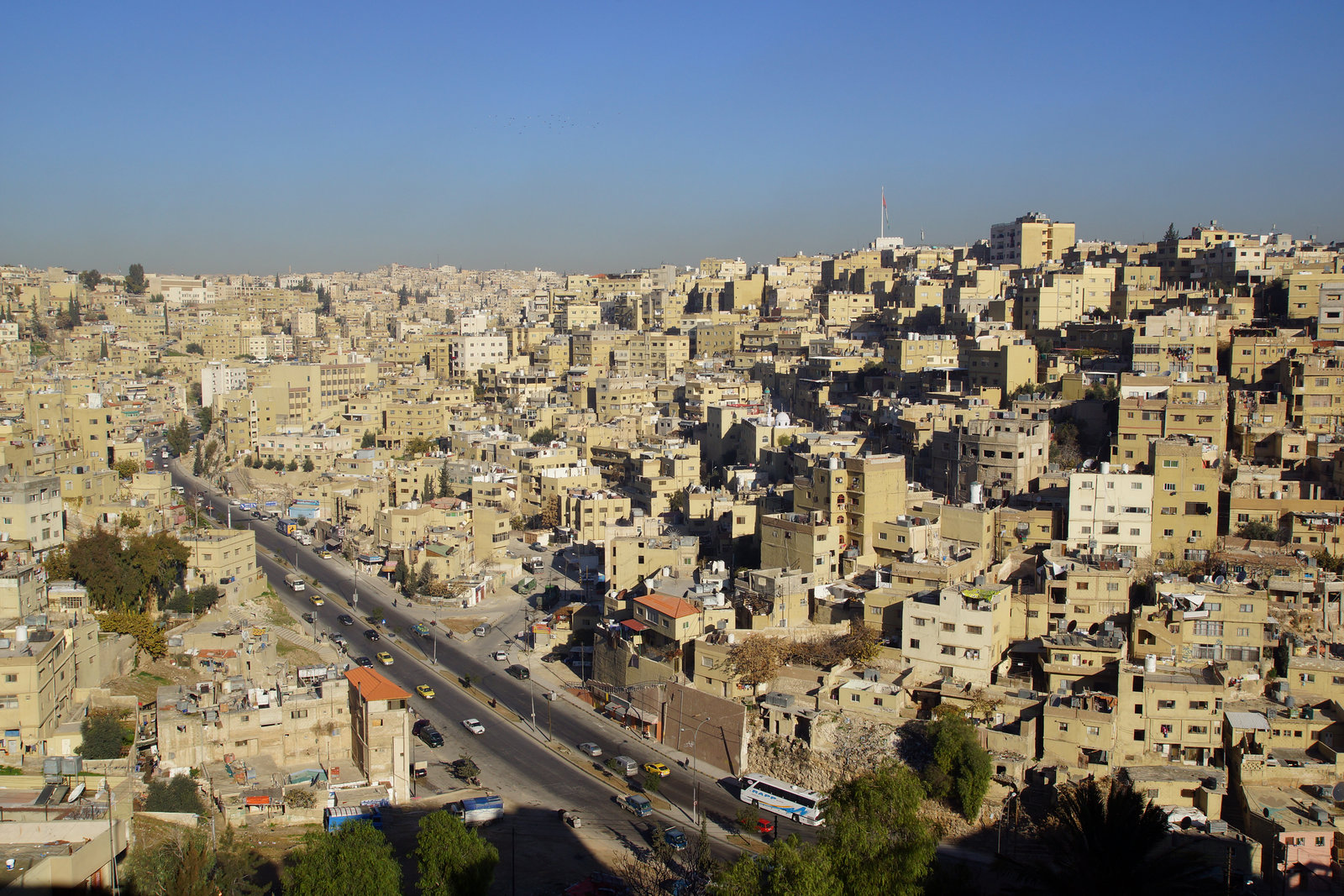 Amman