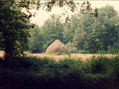 Spreewald-Heuhaufen