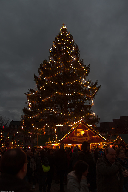 Erfurter Weihnachtsmark