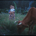aunt and cow