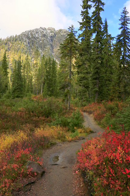 Schreiber's Meadows