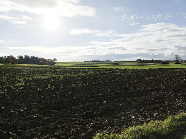 Fränkischer Jakobsweg: Betzenstein - Gräfenberg