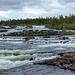 Trappstegsforsen