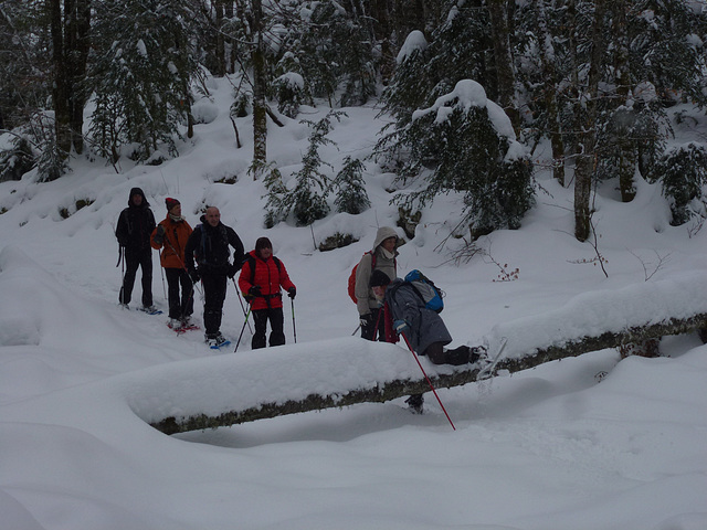 20150131 Raquettes Vercors La Goulandiere (88) al