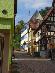 Gundelsheim: auf dem Weg hinauf zum Schloss Horneck