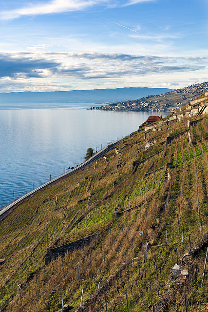 221228 Lavaux 0