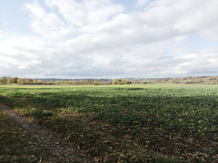 Fränkischer Jakobsweg: Betzenstein - Gräfenberg