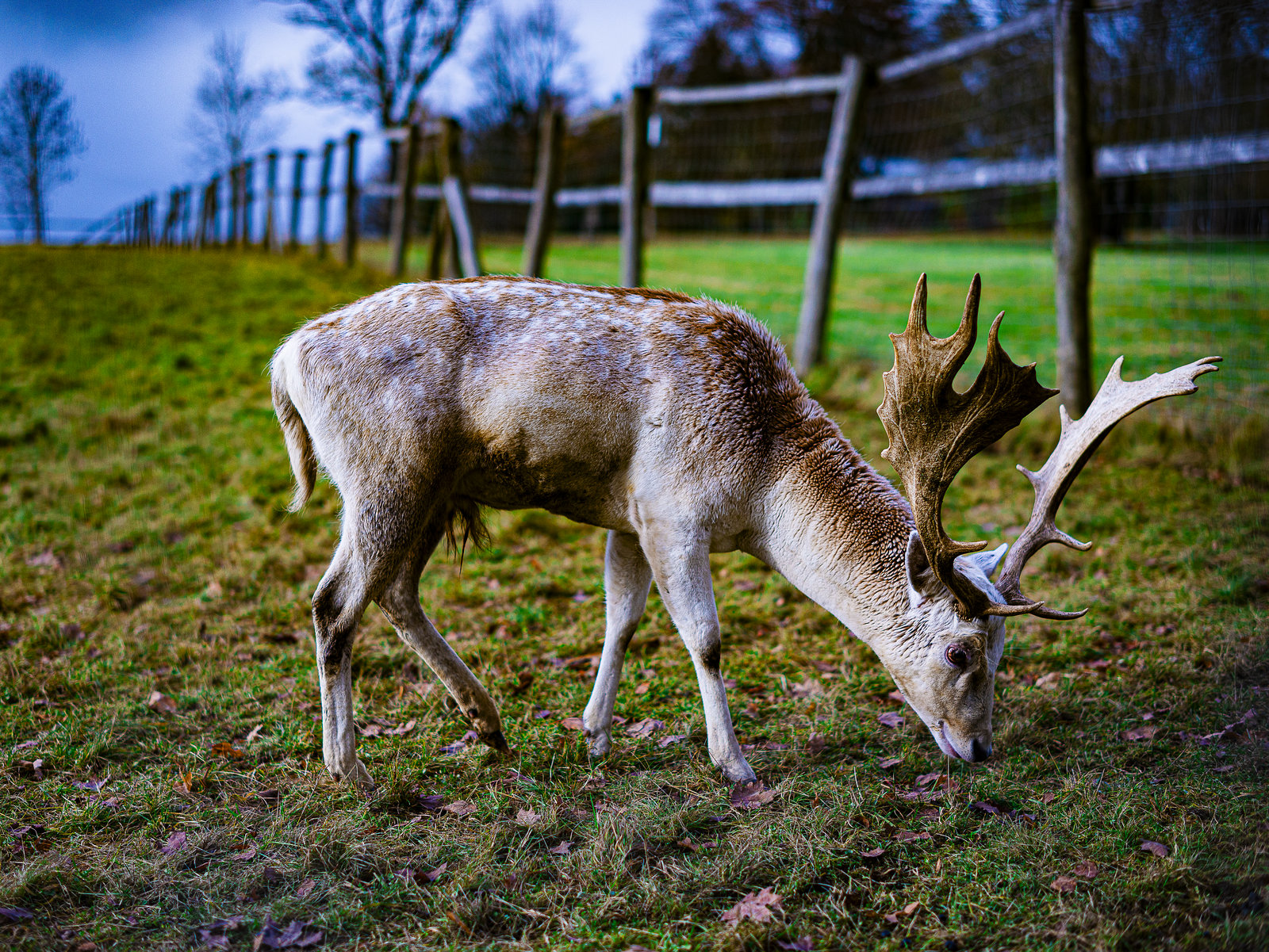 20231118_benneckenstein spaziergang