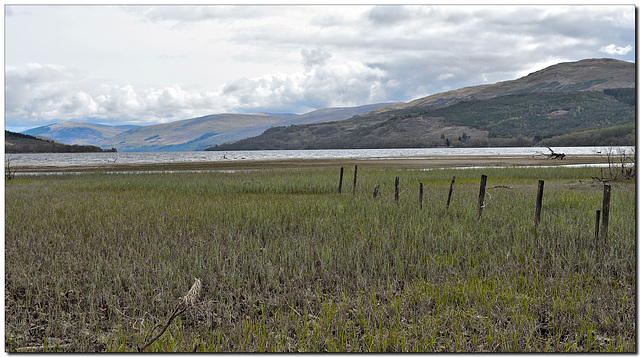 HFF ~ A Loch Tay fence