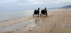 Entraînement des chevaux à Cabourg