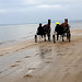 Entraînement des chevaux à Cabourg