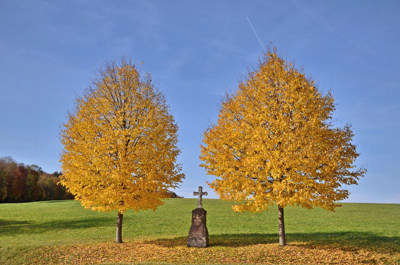 Goldener Oktober