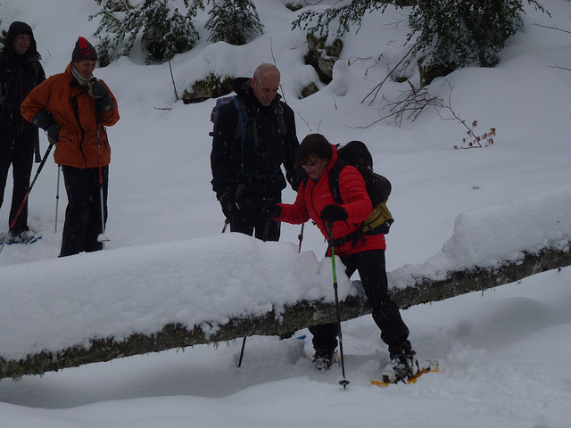 20150131 Raquettes Vercors La Goulandiere (89) al