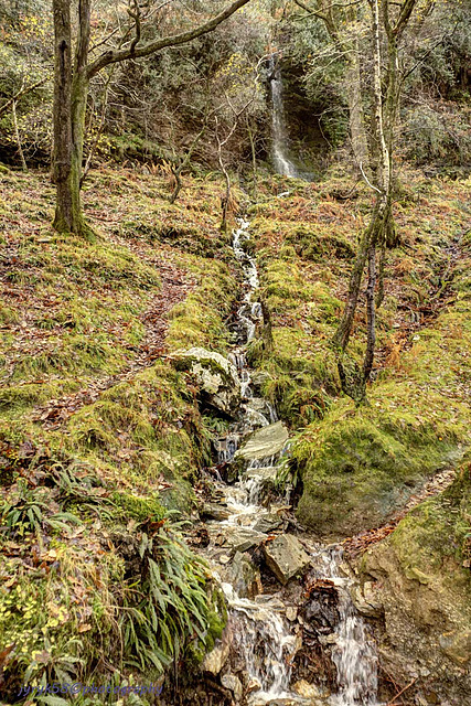 Glendalough 42