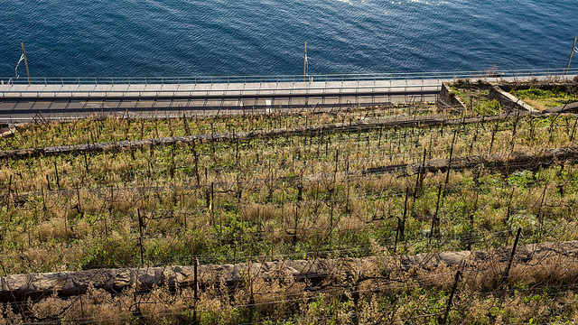 221228 Lavaux 4